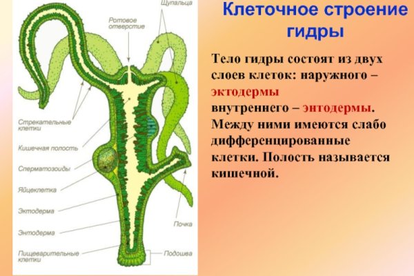 Как зайти в кракен торе