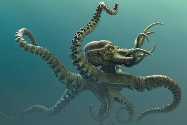 Kraken 4 ссылка